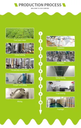 Freeze Dried Mango Powder