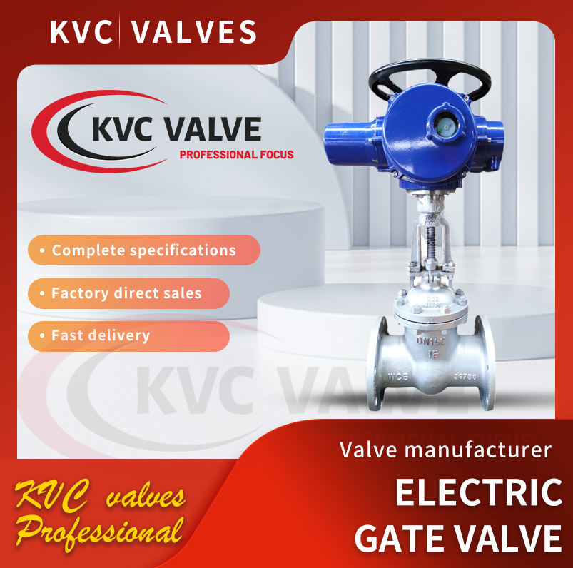 DN15 - 300 Electric flange gate valve