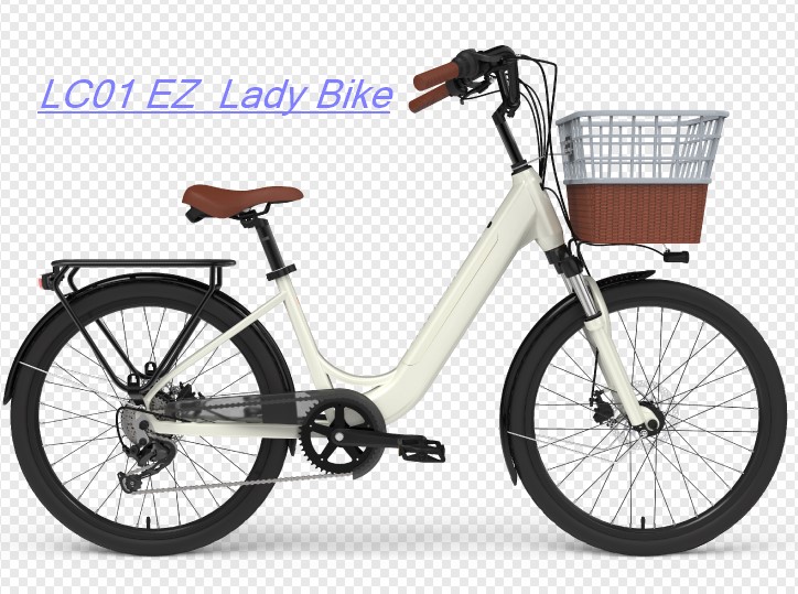 Electric Pit Bike