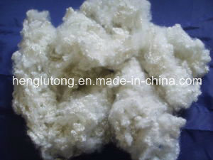 Vigin Hollow Conjugated Siliconized, Polyester Staple Fiber (7D*64mm)