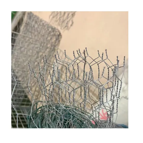Anping Galvanized Chicken Wire Mesh - Fine Hexagonal Decorative Screen