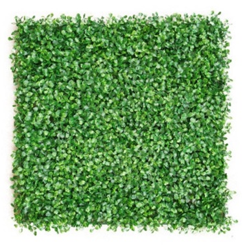 KANGO Artificial Grass Wall Panel - Mixed Green Plant Wall Greens with Red and White Foliage