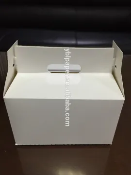 fried chicken packaging boxes