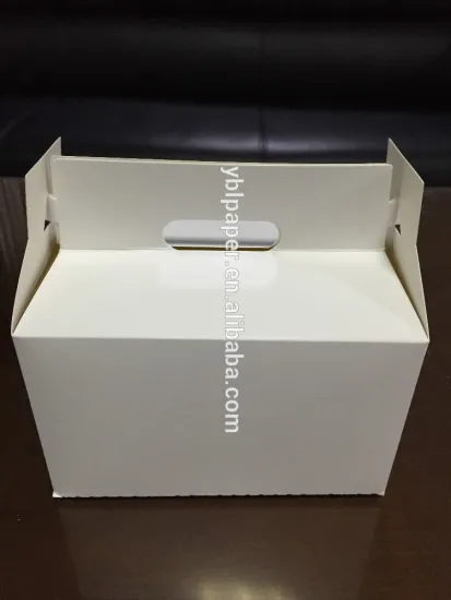 fried chicken packaging boxes