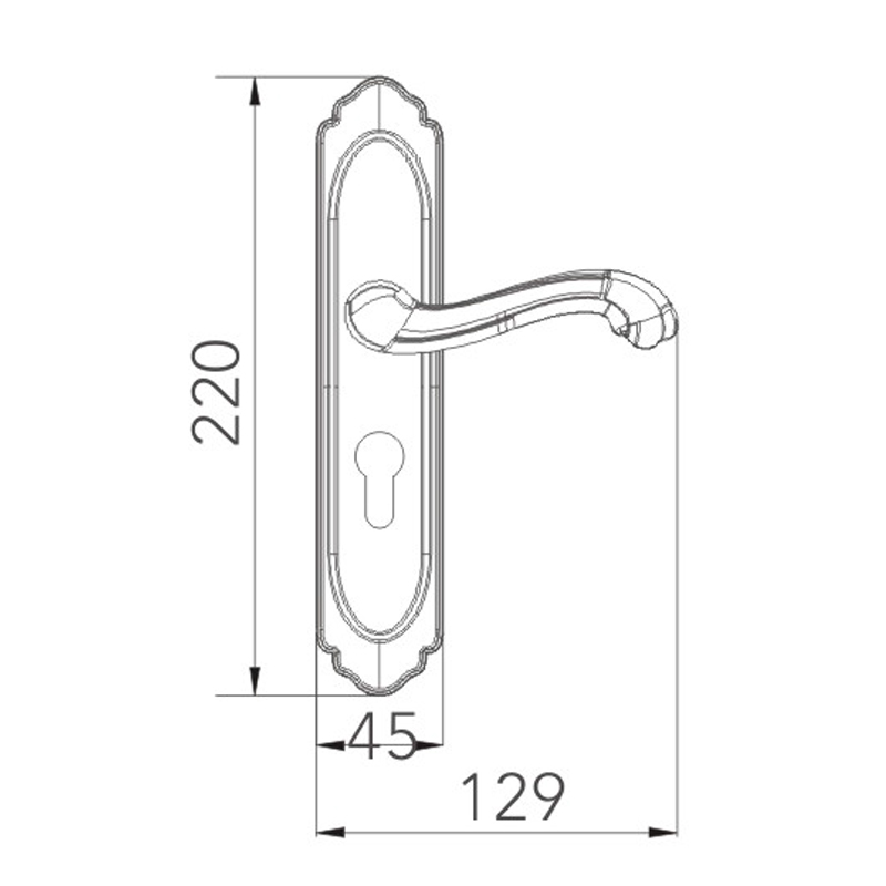 Stainless steel door lock 