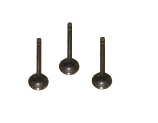 Exhaust Valve AA13A-12-121 for Engine