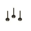Exhaust Valve AA13A-12-121 for Engine