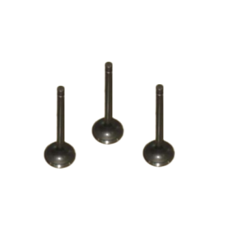 Exhaust Valve AA13A-12-121 for Engine