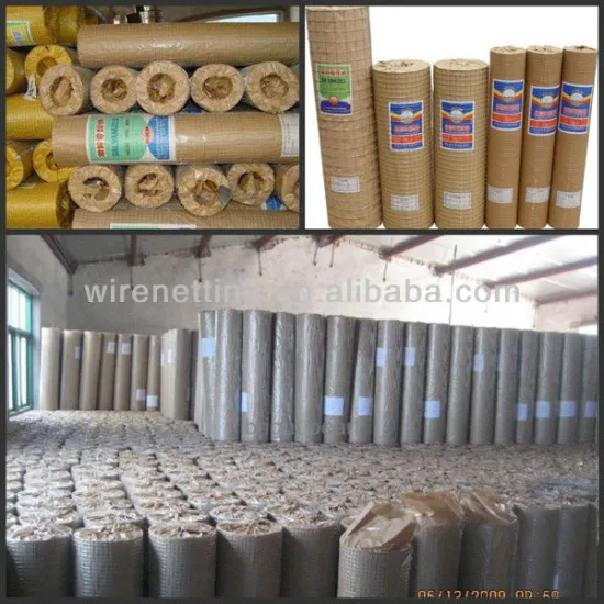 Roll galvanized welded wire mesh aviary mesh