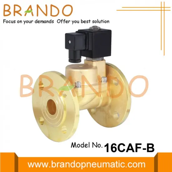 1'' 1-1/4'' 1-1/2'' 2'' Flanged Solenoid Steam Valve