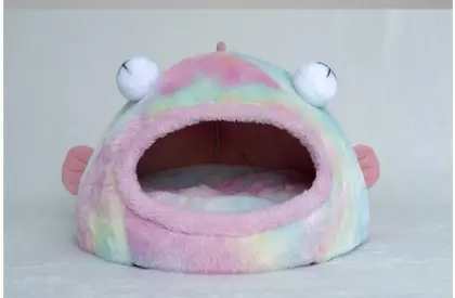 Big Eye Fish Solid Sponge Dog