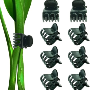 Phalaenopsis Plastic Vine Clip: Fixing Greenhouse Clips for Garden Plants and Climbing Flowers