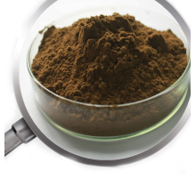 Natural 25% Polyphenols Yerba Mate Extract powder Yerba