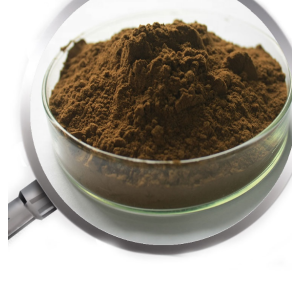 Natural 25% Polyphenols Yerba Mate Extract powder Yerba