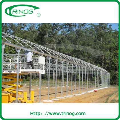 Long stand PE film green house with film cover