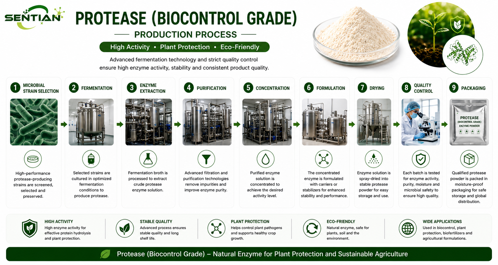 Protease (Biocontrol Grade) 1