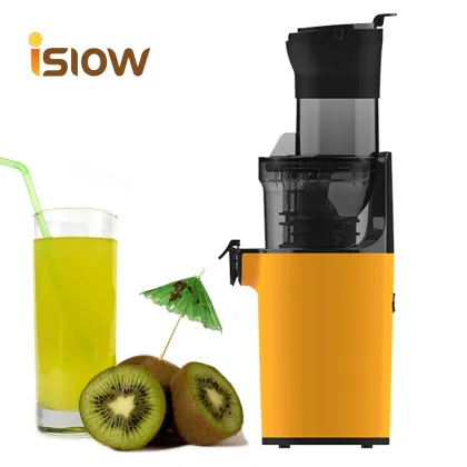 Masticating Steel Vacuum Portable Juicer: Small Portable Powder Juicer