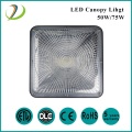 High Quality Canopy LED Light