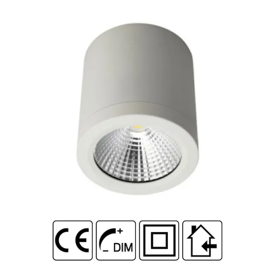 Downlight 12 watt surface mount
