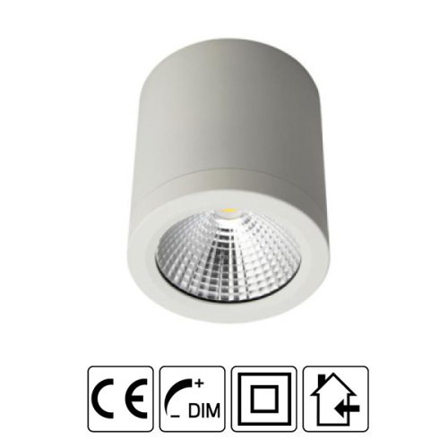 240V Surface Mounted Led Downlights Downlight 12 watt surface mount Manufactory