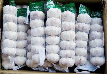 Normal White Garlic (2014)