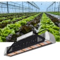 Venta caliente de Phlizon Led Grow Light para invernadero