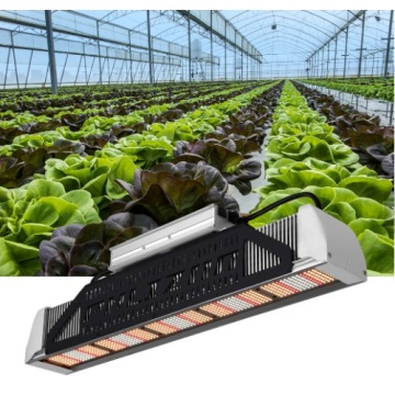 Phlizon Hot Sale Led Grow Light voor broeikasgassen