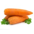 5% 10% Beta Caroteno Cenoura Extrato de vitamina A