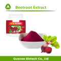 Natürliches pigment rote betewoot saft extrakt rot pulver