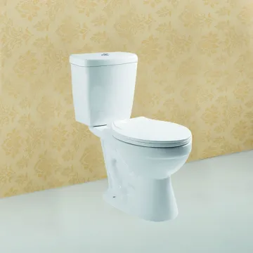 Dual Piece WC Ceramic Toilet