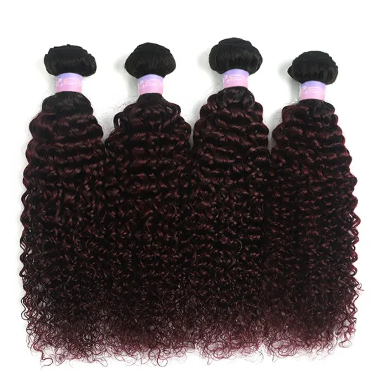 X-TRESS Wholesale T1B-99J Colored Cheap Peruvian Human Hair Virgin Peruvian Hair Bundles 100% Peruvian Virgin Human Hair Closure