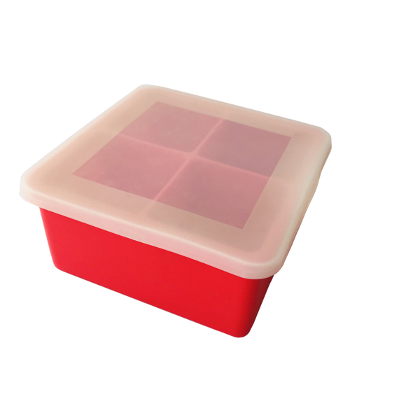 ice tray5 ice tray5