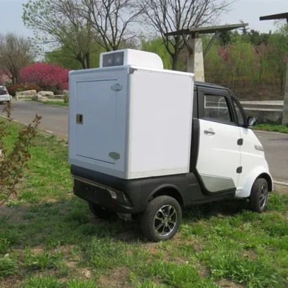 Kfc Food Delivery Van with Insulated Boxes