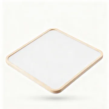 Energy Saving Modern Ceiling Lamp