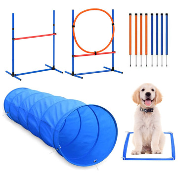 Köpekler için Çeviklik Eğitim Ekipmanı: PVC tünelleri, atlamalar ve köpek egzersizi için engeller