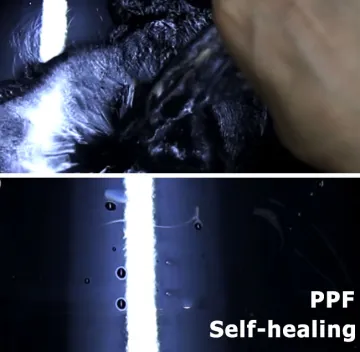 car rock chip protection