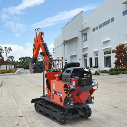 OEM Customizable Mini Excavator