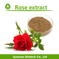 Rose Hip Extract Powder 10:1 Natural Oxidants