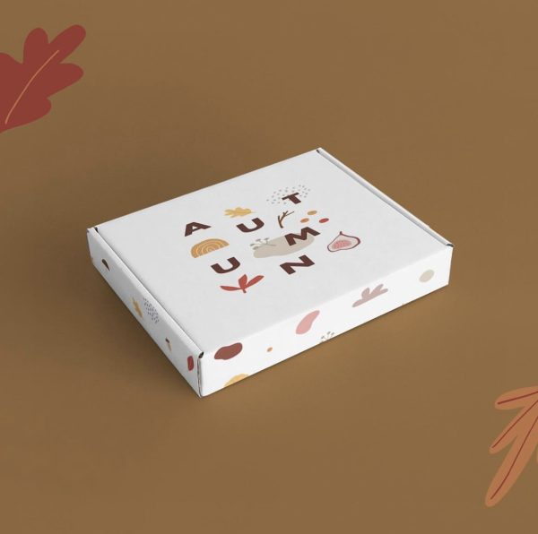Custom Eco-Friendly Corrugated Cardboard Mailer Boxes