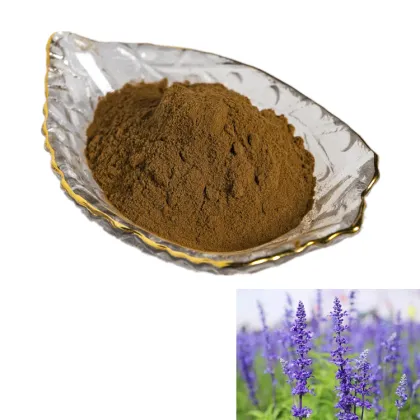 factory suppy high quality per natural chia seed extract powder