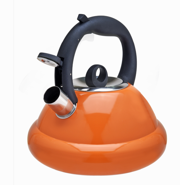 Stovetop Tea Kettle SS