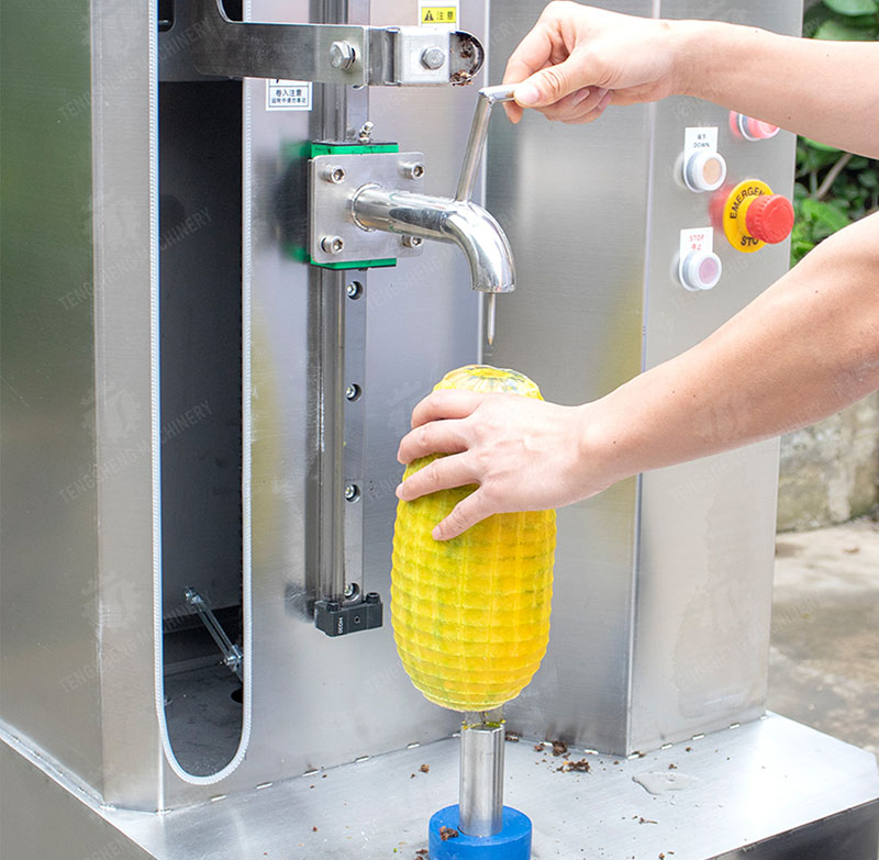 papaya peeling machine