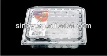 vegetable and fruit containers with lid and air holes