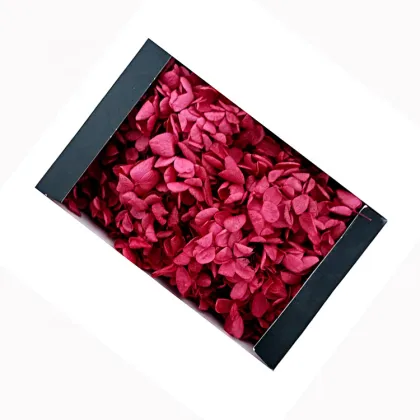 Kunming Fresh Cut Preserved Bicolor Hydrangea Flowers