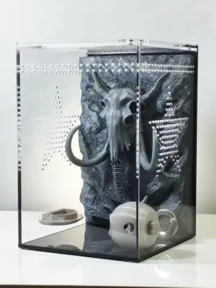 Mammoth Pattern Background Acrylic Terrarium