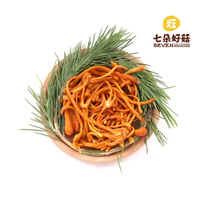 ISO22000 Healthy Frozen Cordyceps Flower-200G
