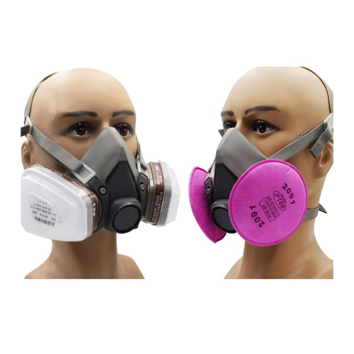 Double Canister Gas And Dust Half Mask