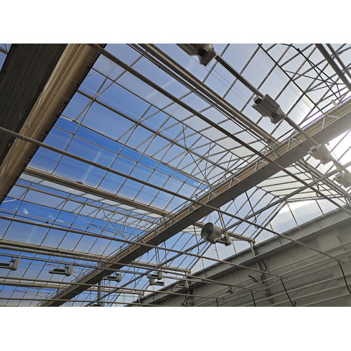 Flower Cultivation Glass Greenhouse