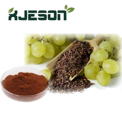Grape Seed Extract powder