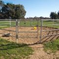Panel ogrodzenia dla bydła